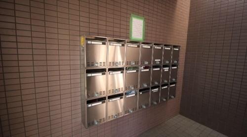 パラディアンフレール