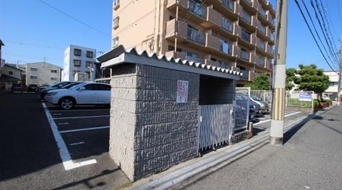 パラディアンフレール