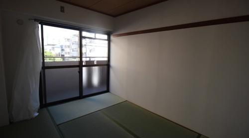 パラディアンフレール