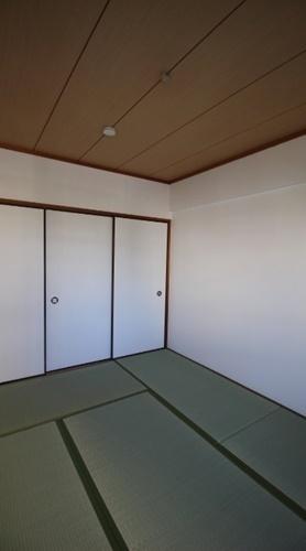 パラディアンフレール