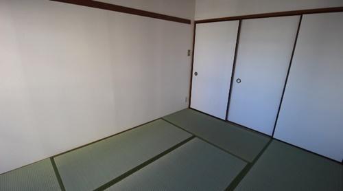 パラディアンフレール