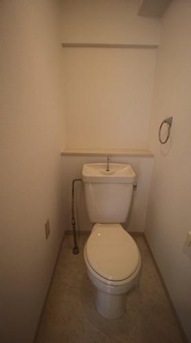 パラディアンフレール