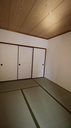 ノアーズアーク