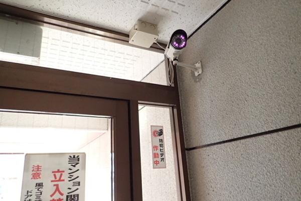 ヒルズ鳳