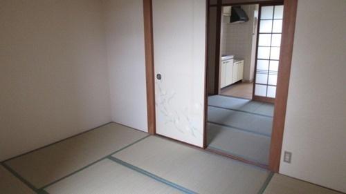 コンパーノ羽衣