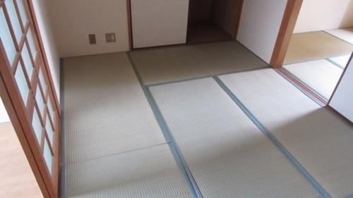 コンパーノ羽衣