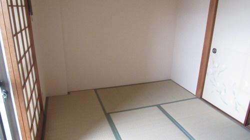 コンパーノ羽衣