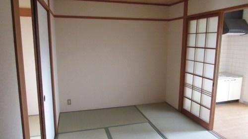 コンパーノ羽衣