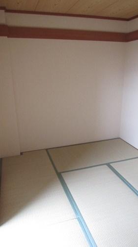 コンパーノ羽衣