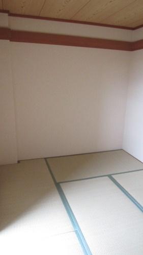 コンパーノ羽衣