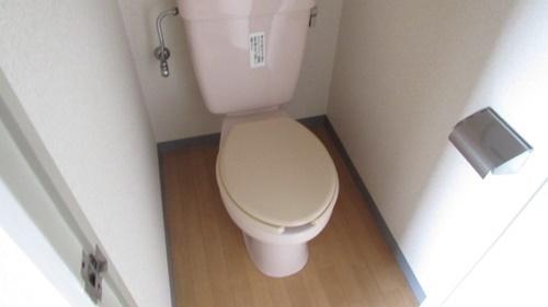 コンパーノ羽衣