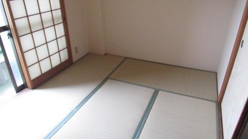 コンパーノ羽衣