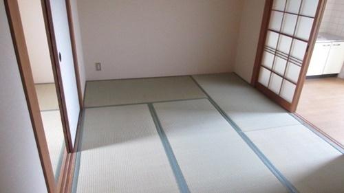 コンパーノ羽衣