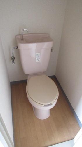 コンパーノ羽衣