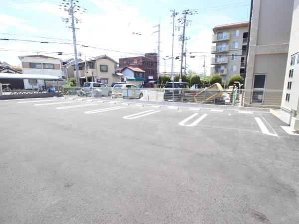 プレージア虫取