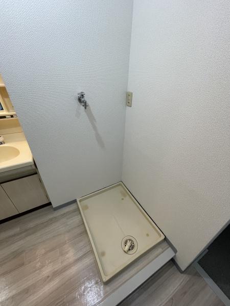 ラコートオオトリ