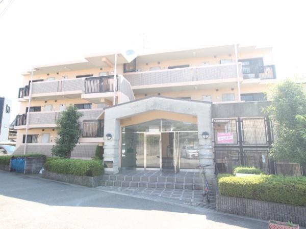 タボロッツアはごろも