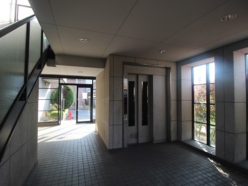 ブランドール板原
