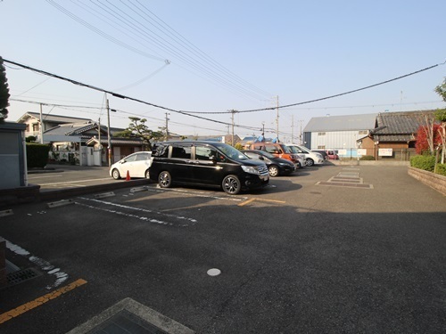 ブランドール板原