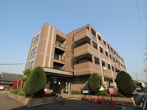 ブランドール板原