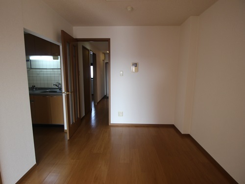 ブランドール板原