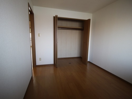 ブランドール板原