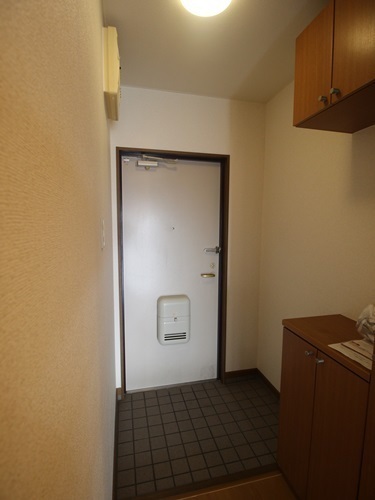 ブランドール板原