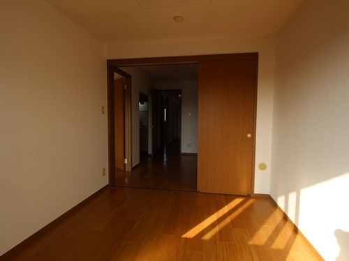 ブランドール板原