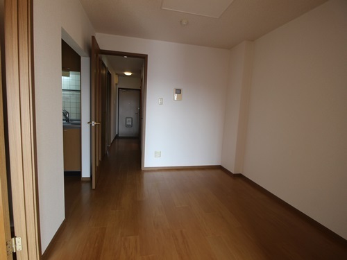 ブランドール板原