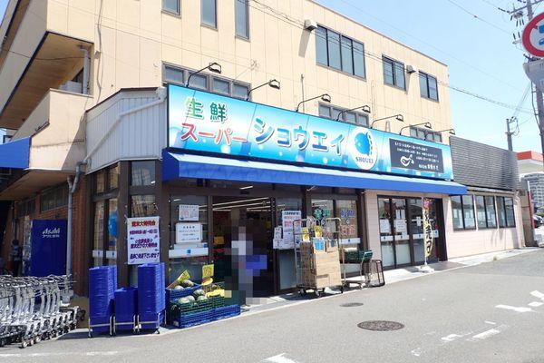 パルコート清水2番館(スーパー　ショウエイ)