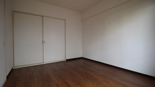 Collection和泉府中