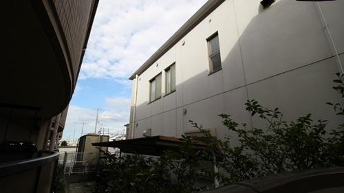 Collection和泉府中