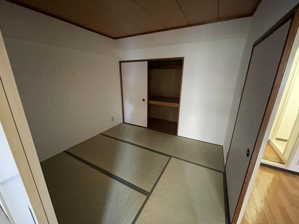 Collection和泉府中