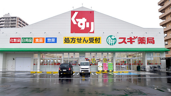 フジパレス高石千代田 2番館(スギ薬局高石駅前店)