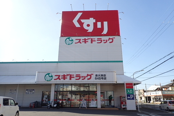 レジデンス楠(スギドラッグ泉大津店)