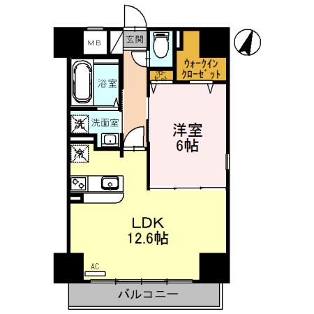 アムール・M
