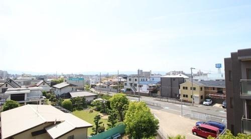 カターラオーシマ