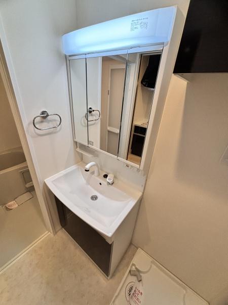 ジェンティー フルール(洗面台・洗面所)