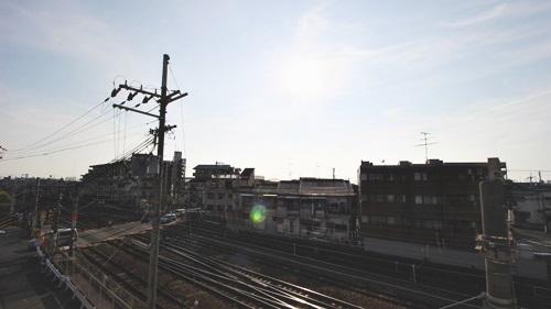 アルファドーム