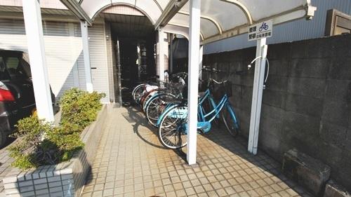 アルファドーム