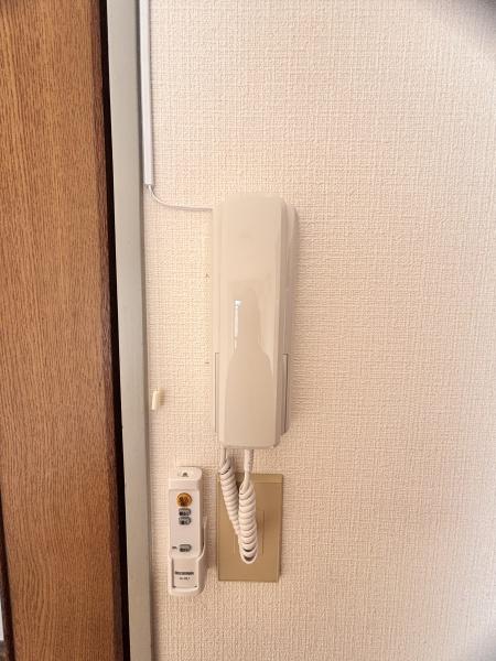 シャルムタガワ