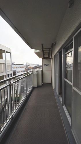 シャルマン徳川
