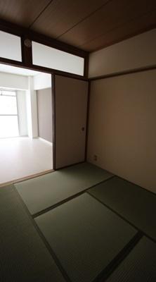 セルサス加茂