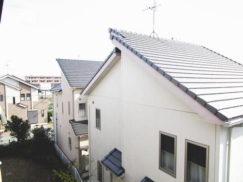 コージーオオトリ