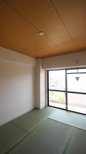 カターラオーシマ
