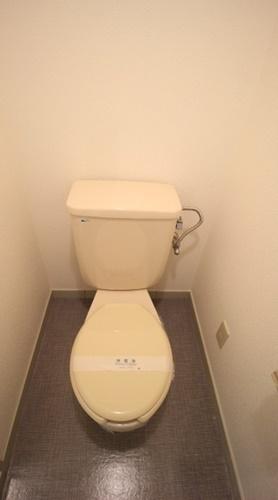 カターラオーシマ