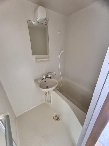 シャルムタガワ(バス)