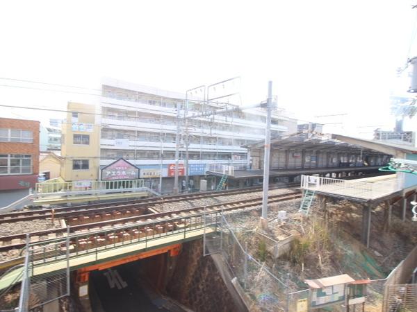 ロイヤルイトウ