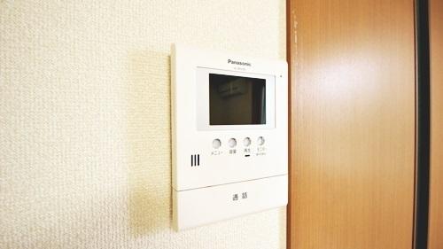 ホワイトシルク