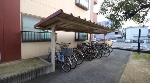 サンライズ茜